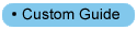 Custom Guide